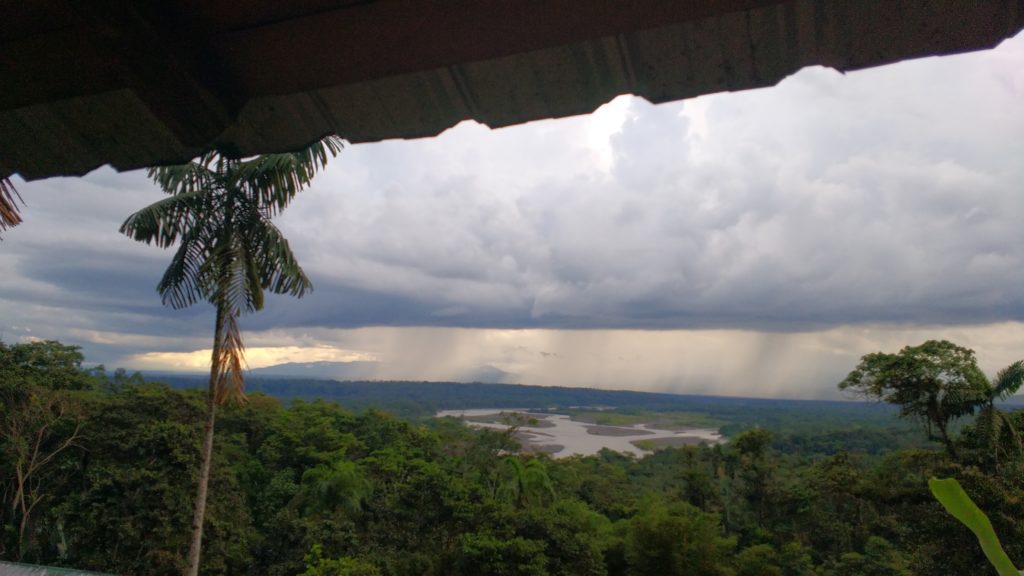 cloud forest