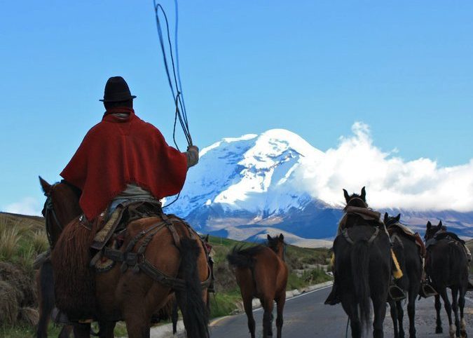 "Is Mount Chimborazo higher than everest?" and other Frequently Asked Questions. 4 an indigenous guide corrals the horses on a country rode towards Chimborazo
