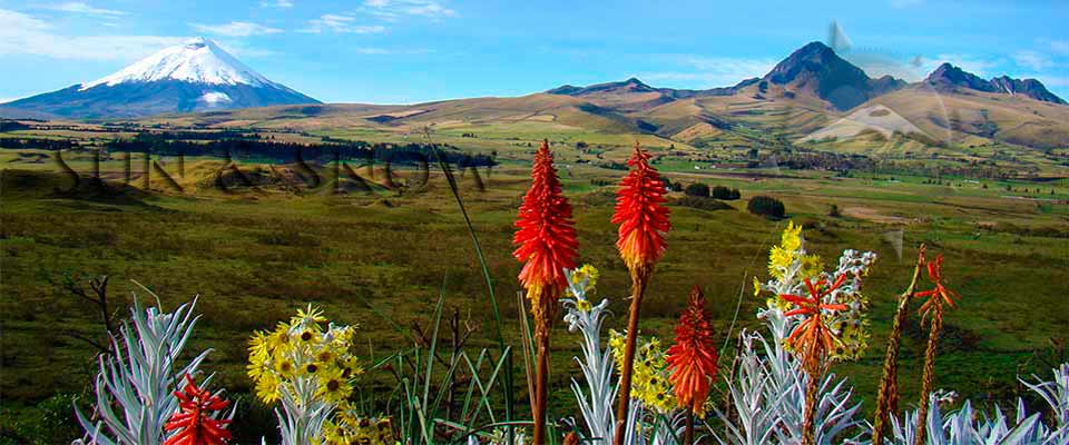 Cotopaxi climbing ecuador