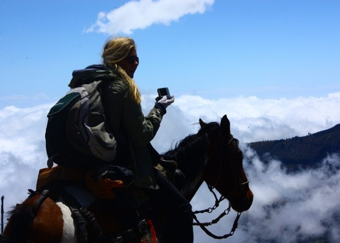 Horseback Riding